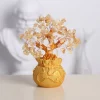 商品图像